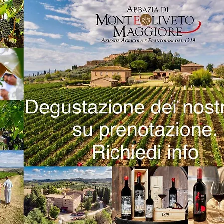 Diffuso Monte Oliveto Maggiore Bauernhof *